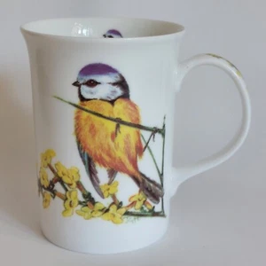 BLUE TIT - Bone China Tea Coffee Mug Cup (Made By J. G. Hague) - Foto 1 di 7