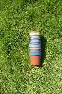 50 Pflanztöpfe/-töpfchen, Gr. 9, gebraucht, guter Zustand - Bild 1 von 2
