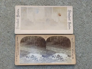 2 Antique Stereoview Cards, Puppies Feeding & Children on Bicycle, Photographs - Picture 1 of 5