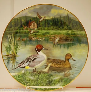 "The Pintail"" 1986 Living with Nature, Jenner's Ducks Collector Plate - Imagen 1 de 9