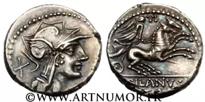 JUNIA - DENIER - Picture 1 of 1
