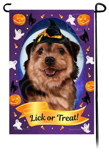 Halloween Garden Flag - Black and Tan Norfolk Terrier - Picture 1 of 1