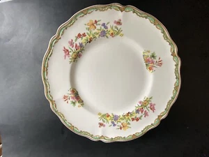 Platos de cena Johnson Bros Old Staffordshire Ironstone 10"" prado dulce - Imagen 1 de 6