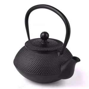 Kyusu Teekanne Modisch Eisen Wasserkocher IH 850ml AZW-SAR-850 Japan Kostenloser Versand - Bild 1 von 5