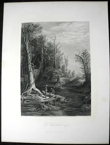 The Chickahominy River - 1872 Steel Engraving - William L. Sheppard - Bild 1 von 1