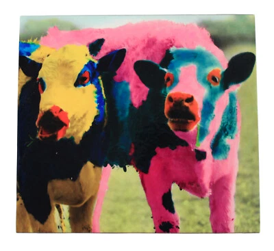 Foto Original de VACAS PSICODÉLICAS Montadas en Bloque y Laminadas 20 x 19 cm Foto 1 de 4