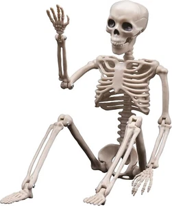 16" Halloween Skelett Dekoration Einweg Kunststoff Ganzkörper Requisiten Bewegliche Gelenke - Bild 1 von 7