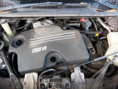 Chassis ECM Body Control BCM SV6 Fits 05-09 MONTANA 30004424 - Image 1 of 4