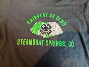 South Park Colorado T Shirt Gray Fairplay 4H club Steamboat Springs Youth Large - Picture 1 of 5