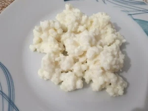 ✔️15 g KEFIR DI LATTE INTERO BIO GRANI PROBIOTICO FERMENTI LATTICI VIVI - Foto 1 di 3