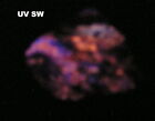 WOLLASTONITE-2M - Fluorescent! - 2.8 cm - SARABAU MINE, BORNEO, MALAYSIA 26471
