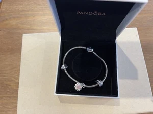 Pandora Sterling Silver 925 Bracelet 19,5cm With 3 X Charms In Box. - Picture 1 of 4