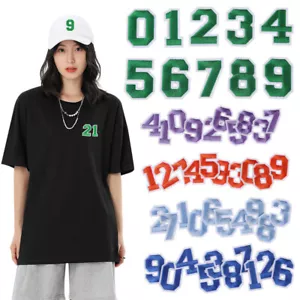 10pcs 0-9 Number Patch Patches College Iron Sew On Alphabet Embroidery Clothes│ - Picture 1 of 32