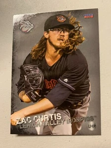 Zac Curtis 2018 Lehigh Valley Iron Pigs Team Card - Picture 1 of 1
