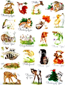 BABY ANIMAL STICKERS 8"X10" Full Sheet  #32 RACCOON DEER BUNNY SQUIRREL HORSE - Picture 1 of 1