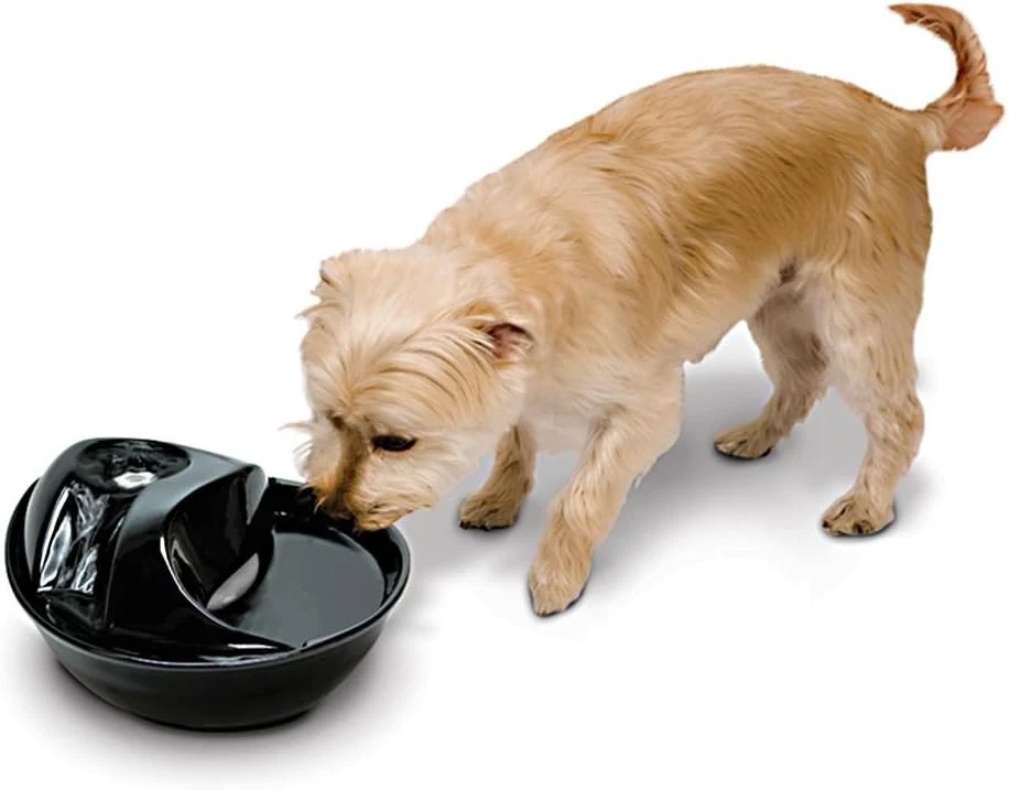 Pioneer Pet Raindrop Fountain, Drinking Fountains 60 oz., Black Ceramic  - Image 1 of 1