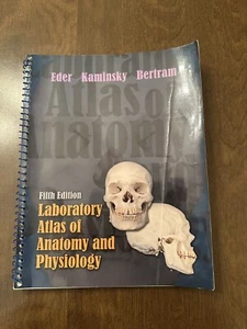 Laboratlas der Anatomie und Physiologie von John W. Bertram Buch - Bild 1 von 7