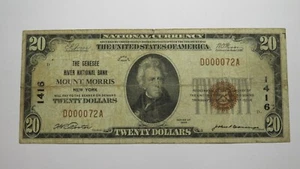 $20 1929 Mount Morris New York NY National Currency Bank Note Bill Ch #1416 RARE - Picture 1 of 3