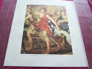 PETER PAUL RUEBENS' "CAZA DIANA", ESTAMPADO-MUSEO DEL PRADO-MADRID, ESPAÑA  - Imagen 1 de 1