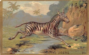 Chromo GAUFRE EMBOSSED ANIMAUX ZEBRE n90 - Picture 1 of 2
