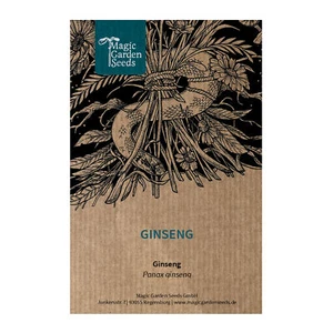 Ginseng (Panax ginseng) - ca. 5 Samen - Bild 1 von 6