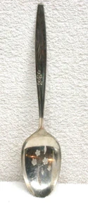 Vintage Oneida Community INCANTATO/DOLCE ROSA Cucchiaio da Porta Argento - Slot - Foto 1 di 9