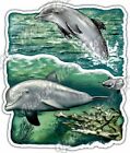 Dolphin Dolphins Jumping Beach Fish Ocean Car Bumper Vinyl Sticker Decal 4"X5"