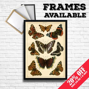 Póster vintage estampado de mariposas arte de pared, retro de mediados de siglo decoración de pub para el hogar café y pub - Imagen 1 de 4