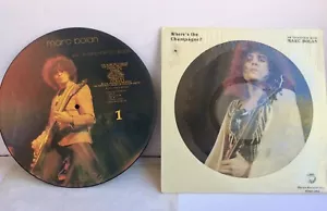 T. REX / MARC BOLAN ♫ PICTURE DISKS ♫ 2 RECORD LOT * ELECTRIC WARRIOR * SLIDER - Picture 1 of 6