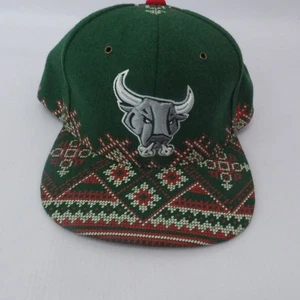 San Antonio Rampage American Hockey League Snap Back Cap Christmas Rare Wool - Picture 1 of 11