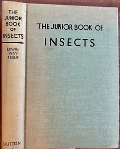 The JUNIOR BOOK of INSECTS by Edwin Way Teale 1953 hb/249pp/Illustrated - Foto 1 di 16