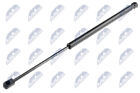 Ae-Au-026 Nty Gas Spring, Boot-/Cargo Area For Audi