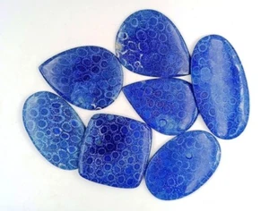 Blue Fossil Coral Stone Lot, Blue Fossil Coral . Handmade Natural Fossil 71759 - Picture 1 of 4