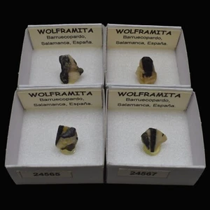 WOLFRAMITA (Barruecopardo, Salamanca, España) "ver disponibles" / Wolframite - Bild 1 von 7