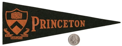 Vintage 1950s Hormel Felt Mini Pennant PRINCETON UNIVERSITY TIGERS Ivy League NJ Cover
