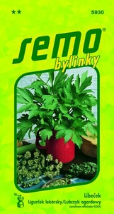 liebstöckel samen - Bild 1 von 2