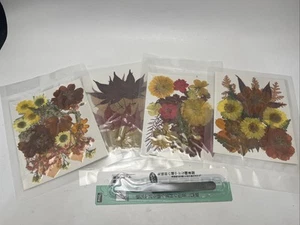 Nuanchu Pressed Flowers Bulk Dried Flower for Crafts, Vivid Color Fall Style - Picture 1 of 6
