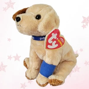 ⭐️ PADS ⭐️ 2006 PDSA UK EXCLUSIVE! TY Beanie Babies DOG - MWMT'S - Picture 1 of 6