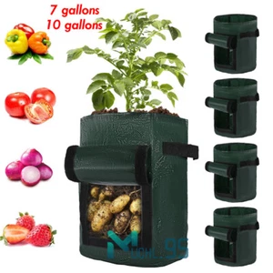 1-6Packs Potato Grow Bags Garden Waterproof Reusable Vegetable Plant Pots Fruits - Picture 1 of 43