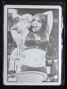 Layla - 2012 Topps WWE placas de impresión negras #48 - 1 de 1 - 1/1 - DIVA SMACKDOWN - Imagen 1 de 2