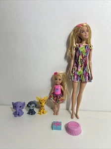 Barbie Chelsea El Cumpleaños Perdido Juego Muñecas y Animales - Imagen 1 de 4