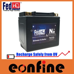 FedHQ Sodium Ion Battery 42Wh For Cannondale C440 E440 S440 X440 X440S 2002 2003 - Picture 1 of 3