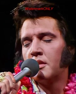 "Elvis Presley" "King of Rock & Roll" Beautiful "Pin Up" PHOTO! #(82) - Picture 1 of 2