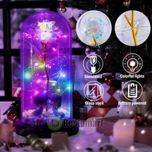 LED Rose Flower Eternal Glass In Dome Romantic Gift for Mother's Day Women Wife - Picture 1 of 17