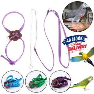 Outdoor Training Lead Leash Budgie Bird Adjustable Harness Parrot Bird Leash - Picture 1 of 14