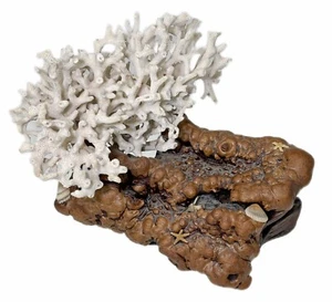 Mounted Coral on Burl Wood Sculpture Figurine Display Vtg Mike Berry 1982 - Picture 1 of 10