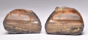 AGATE CREEK, AGATE PAIR, AUSTRALIA  S868 - Imagen 1 de 6