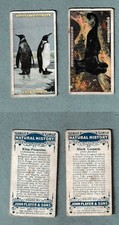 John Player – 2 Original Cigarette Cards “Natural History” – #25 #37 – 1924