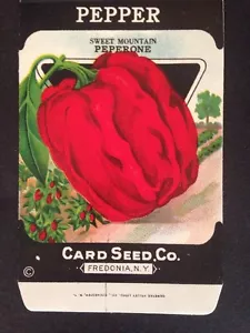 1930s Litho Antique Vintage Seed Packet Pepper Peperome Seed Co Pack Mint - Picture 1 of 2