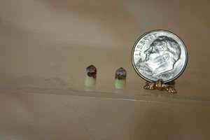 Miniature Dollhouse Jo Parker Fine Porcelain Salt & Pepper Shakers Roses & Gold - Imagen 1 de 3